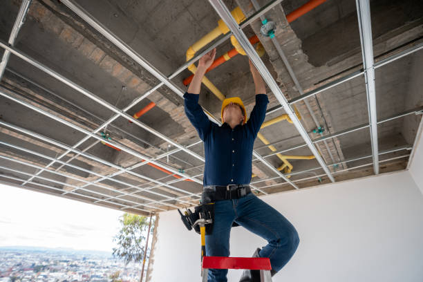 Best Plumbing Inspection Services  in Marionville, MO